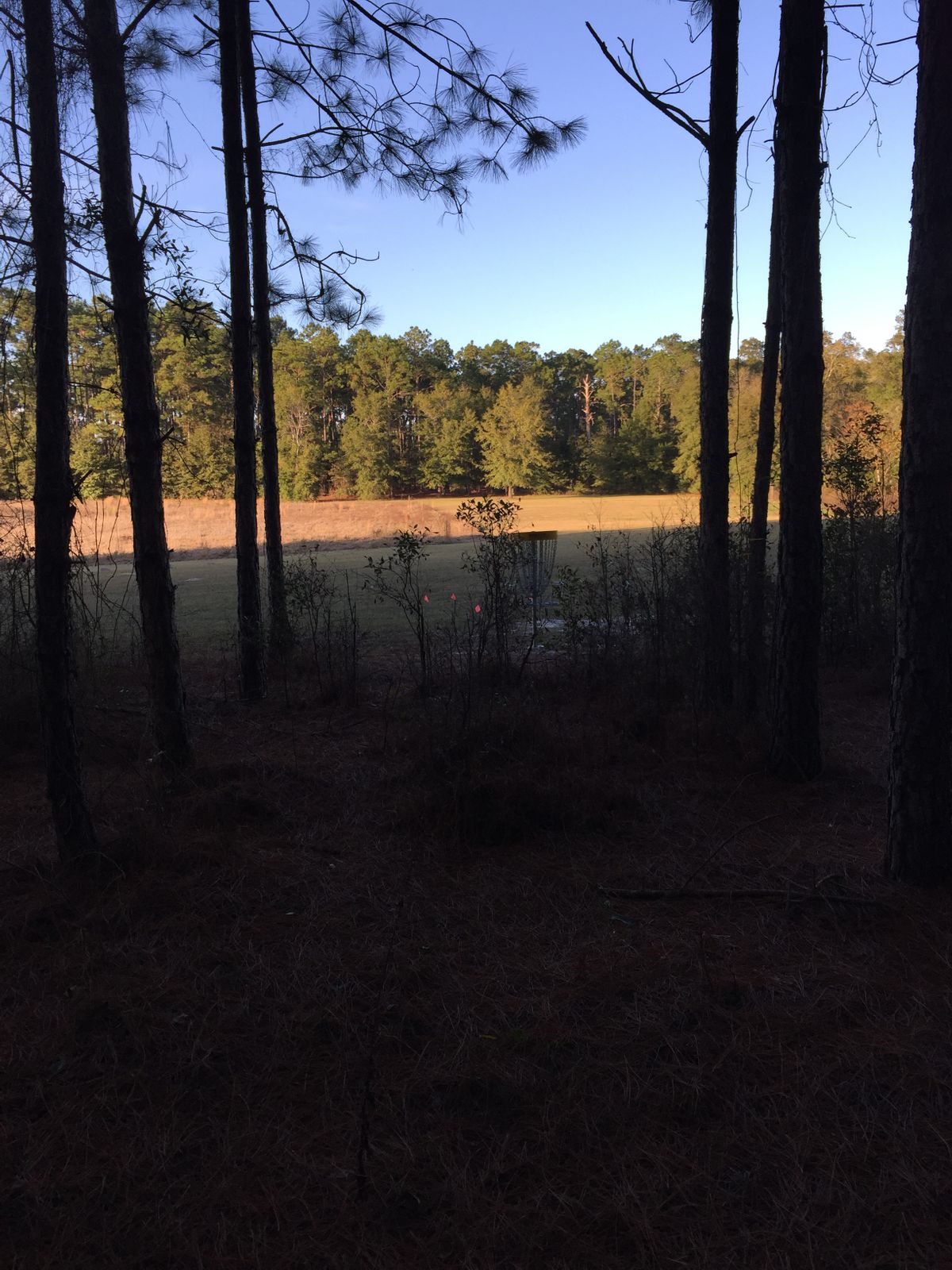Hole 4