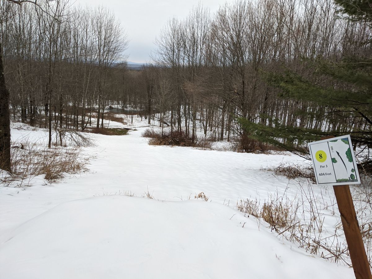 Hole 8-signature hole