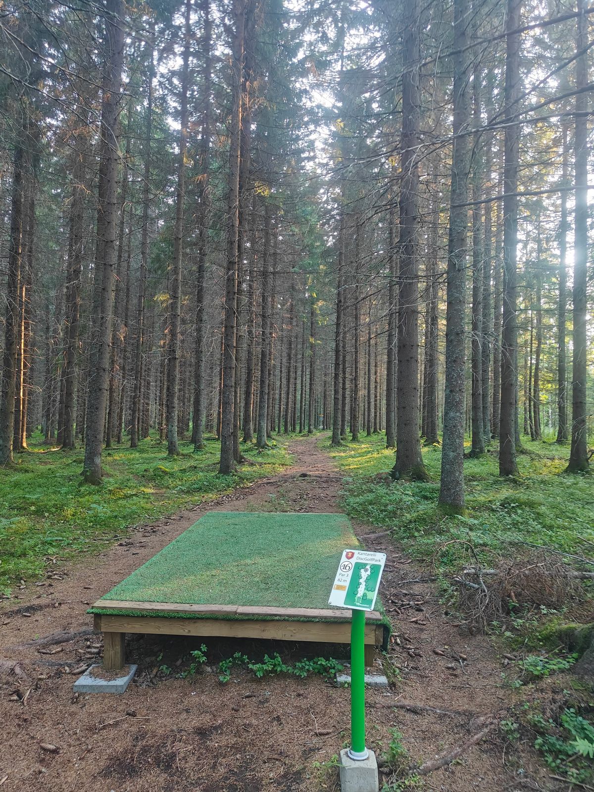 Väylä #16. Kori kiven päällä