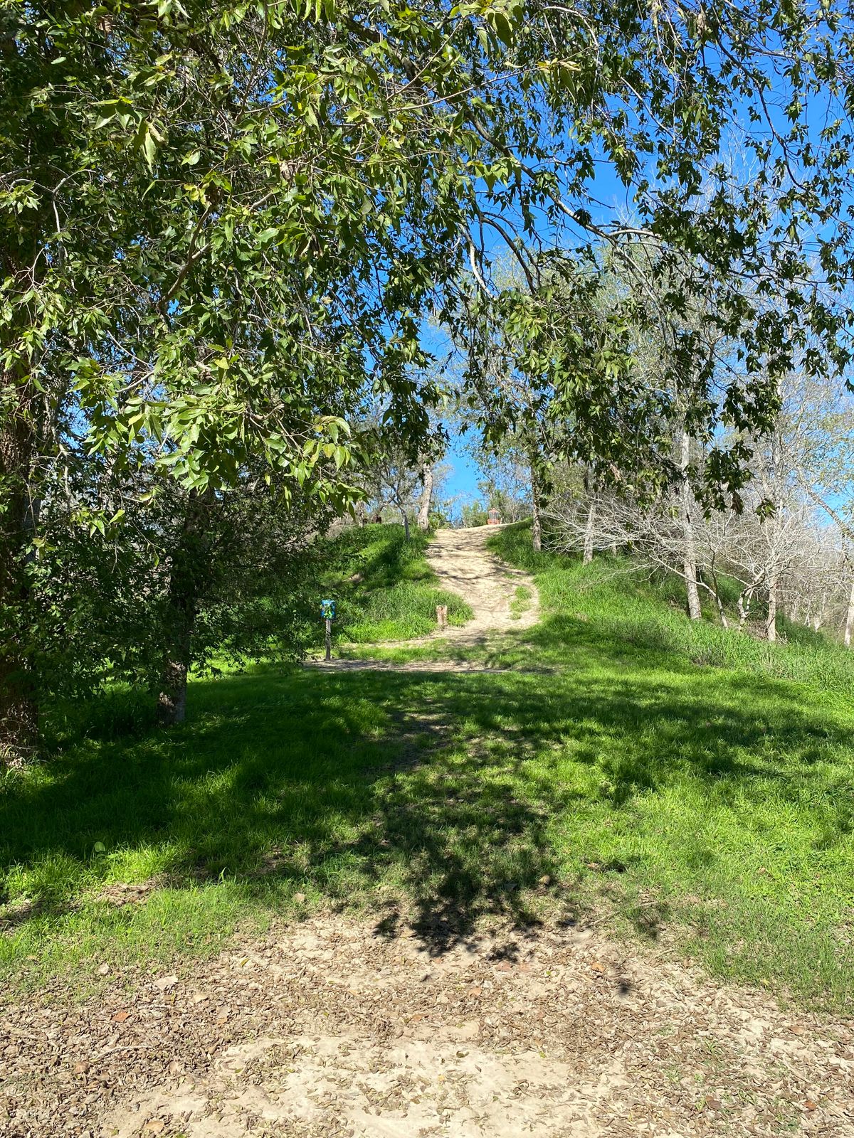 Hole 14 Fall