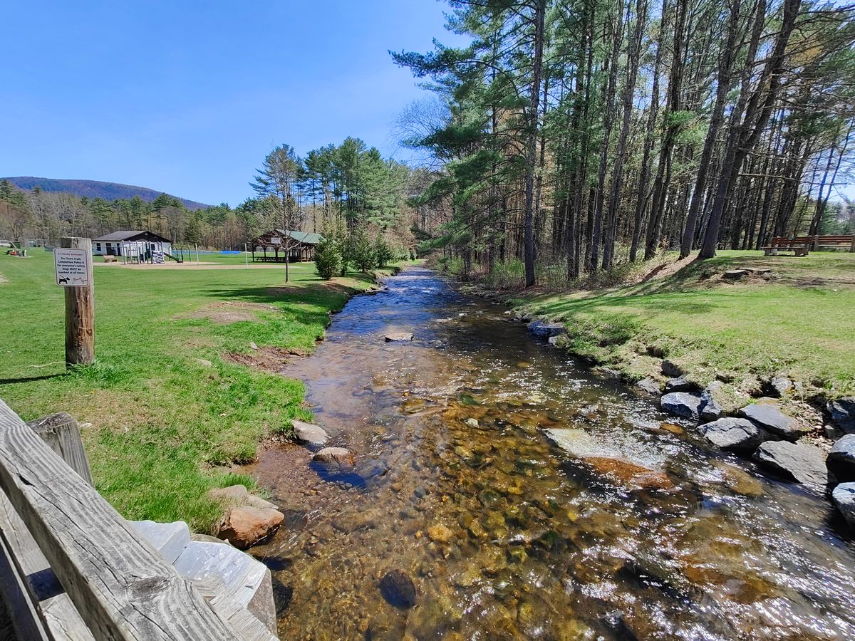 Beautiful stream on the way to the practice basket