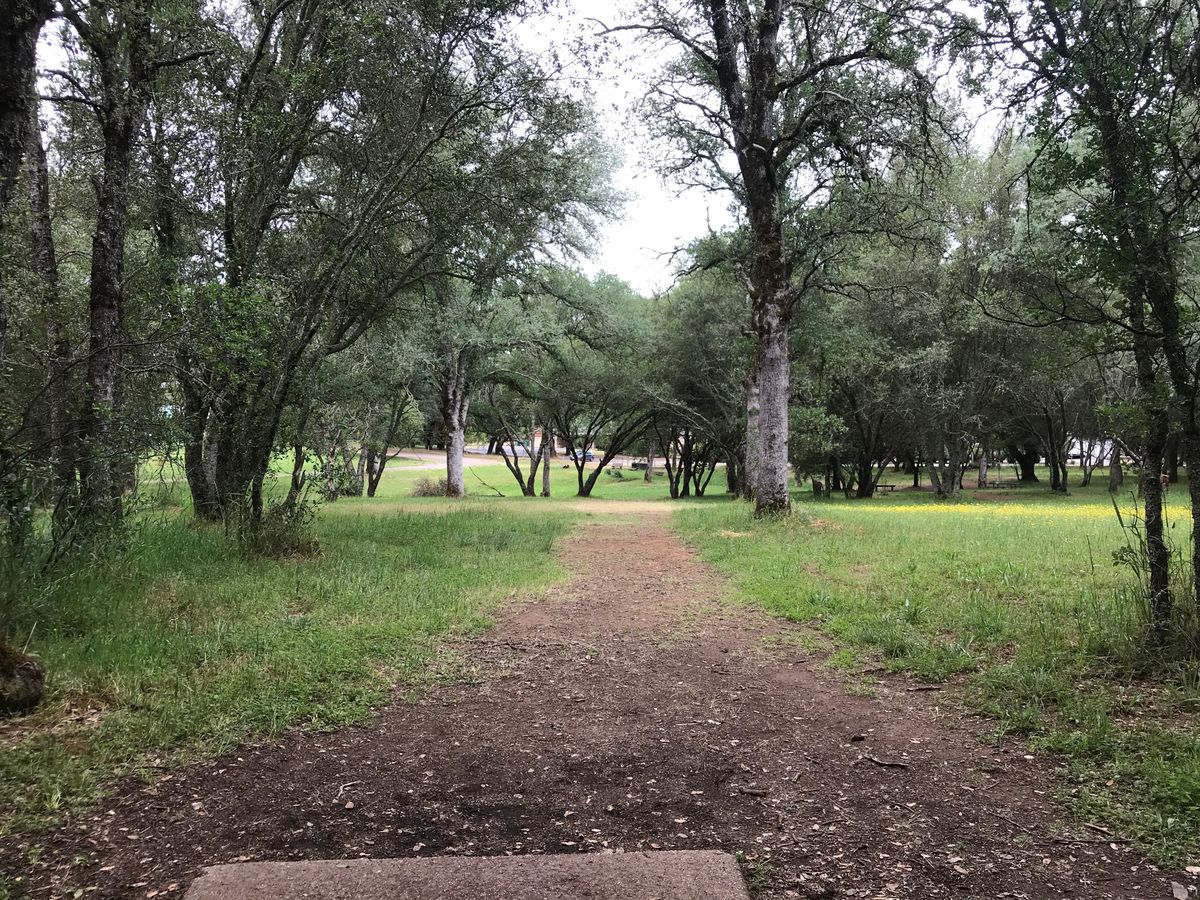 View from the tee on hole 6