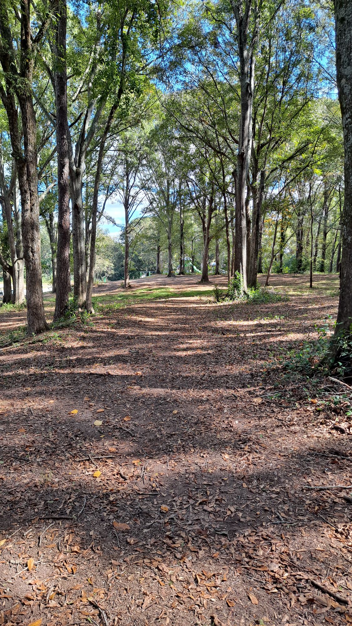 #18 approach