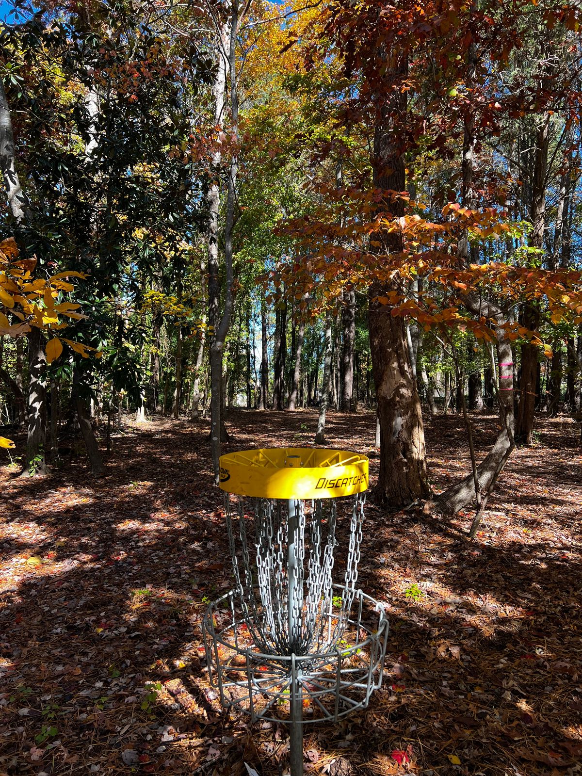 Hole 9 green looking back towards tee(s)