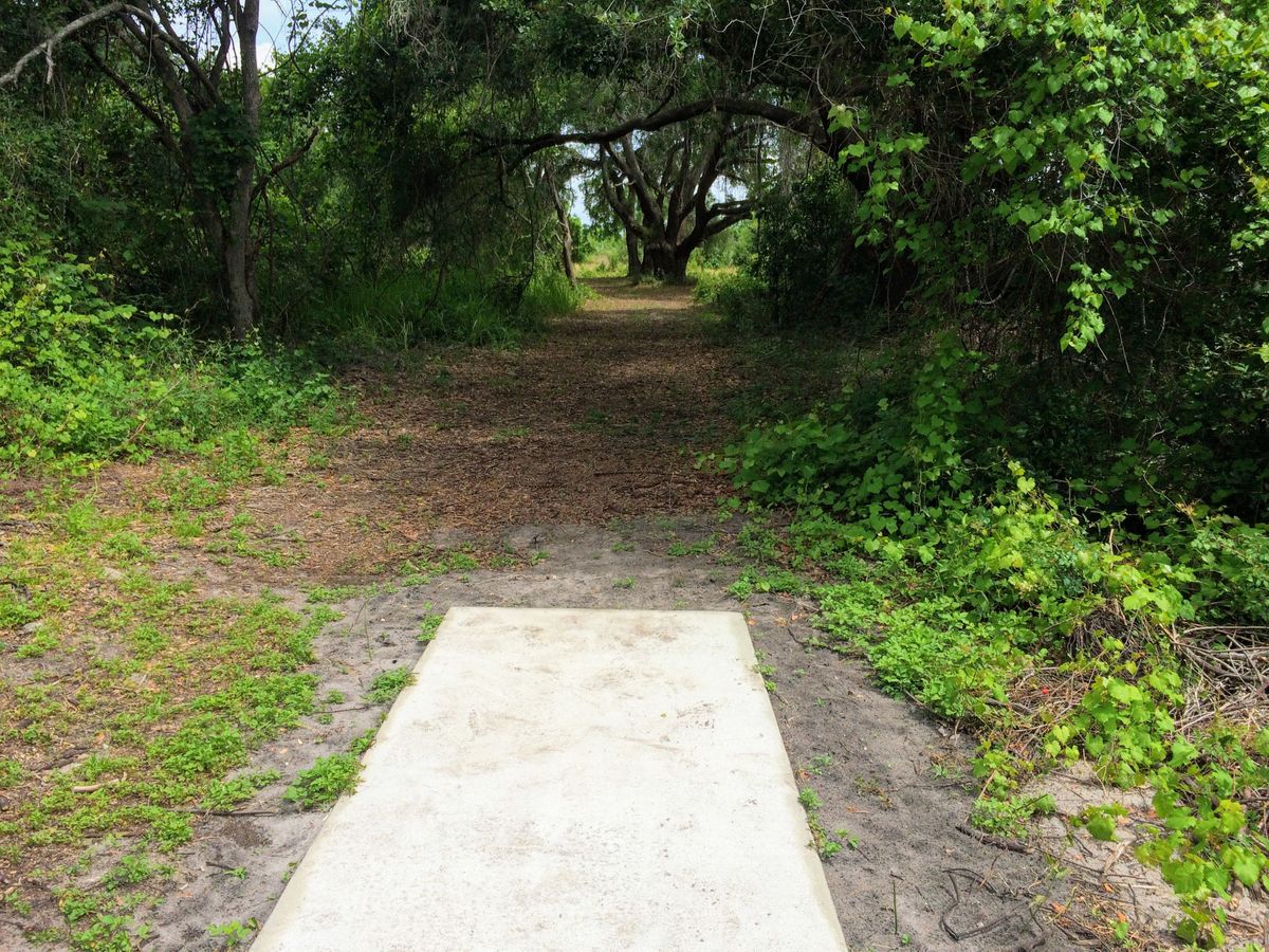 Hole 7 Tee Pad