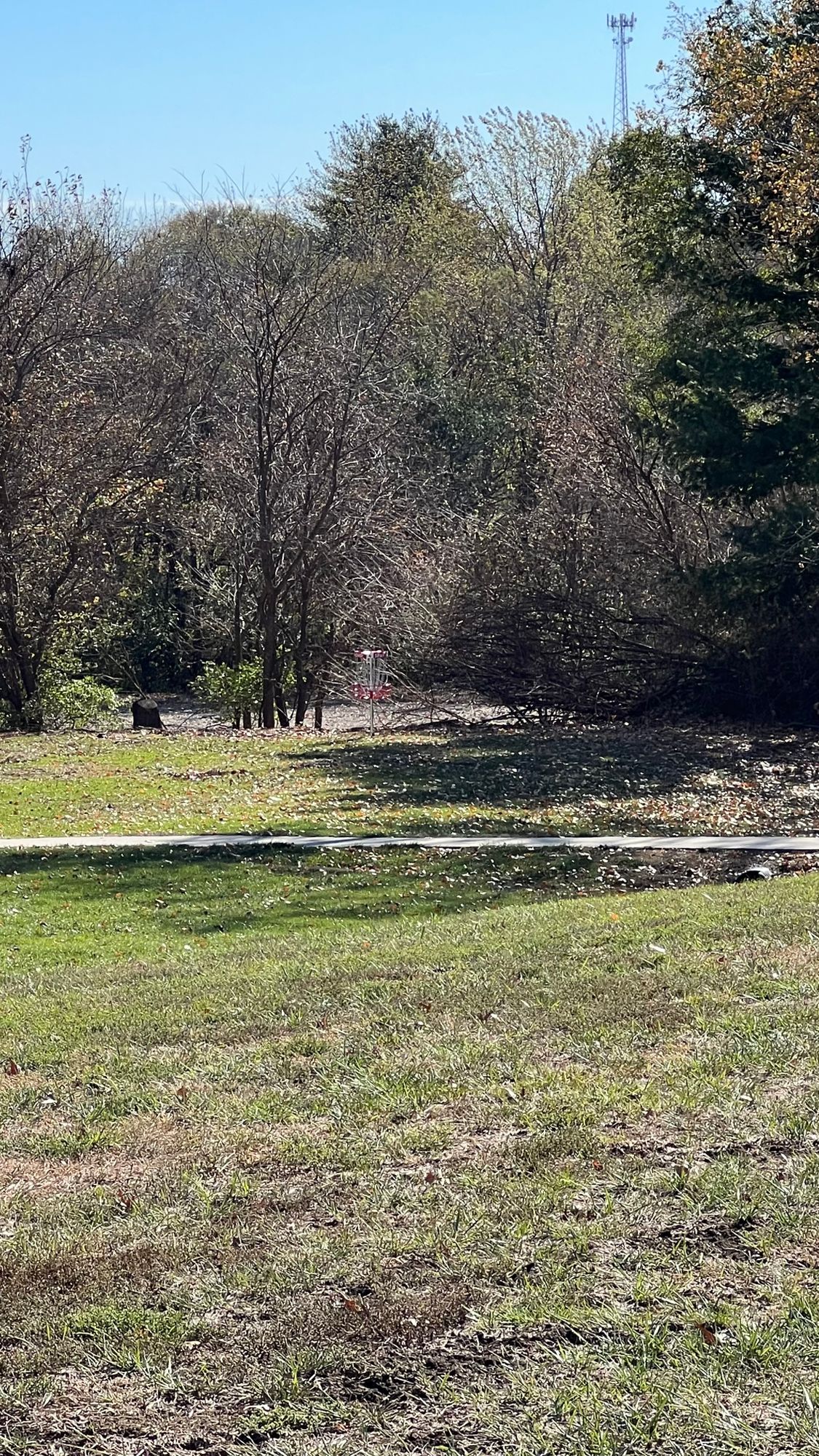 Hole 4 basket