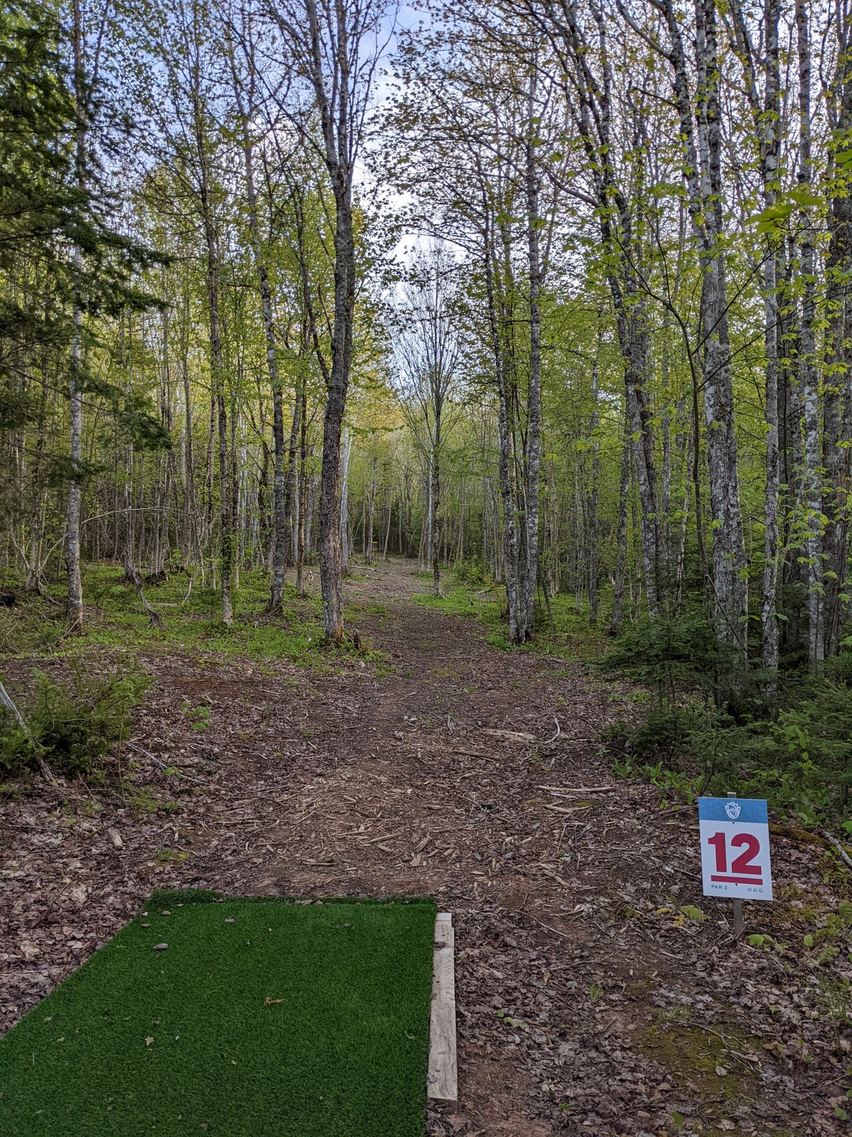 Hole 12, a narrow slightly uphill fairway, a tough but fair one