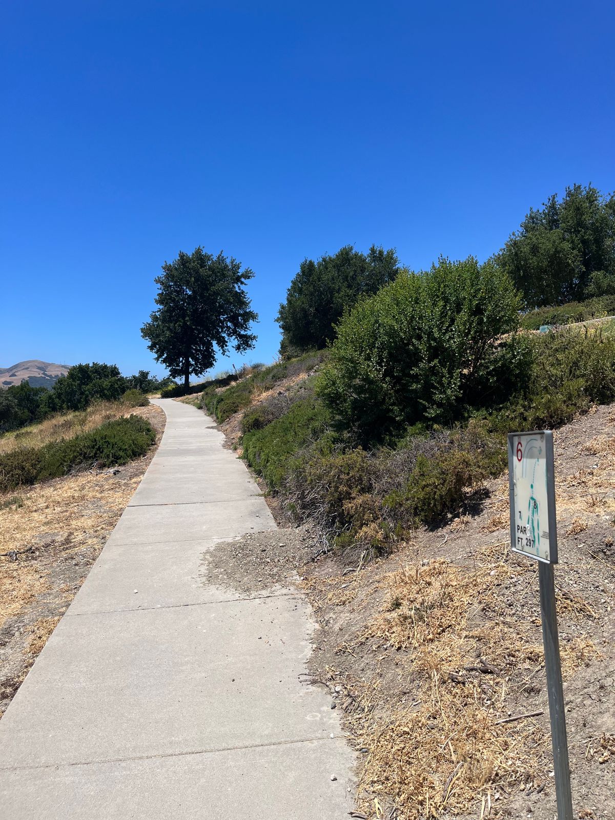 Hole 6 (June 25)