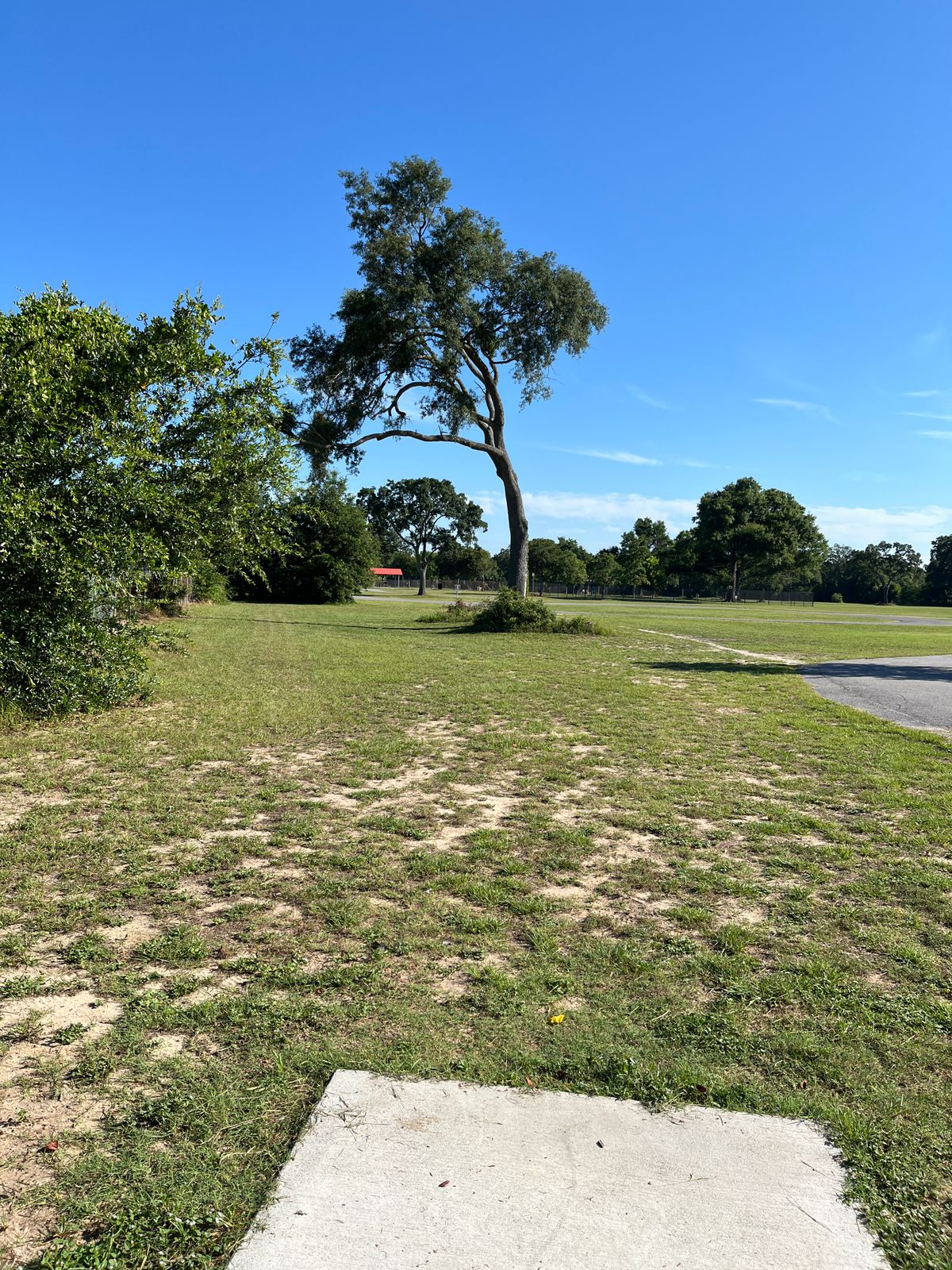 Hole 14 Tee