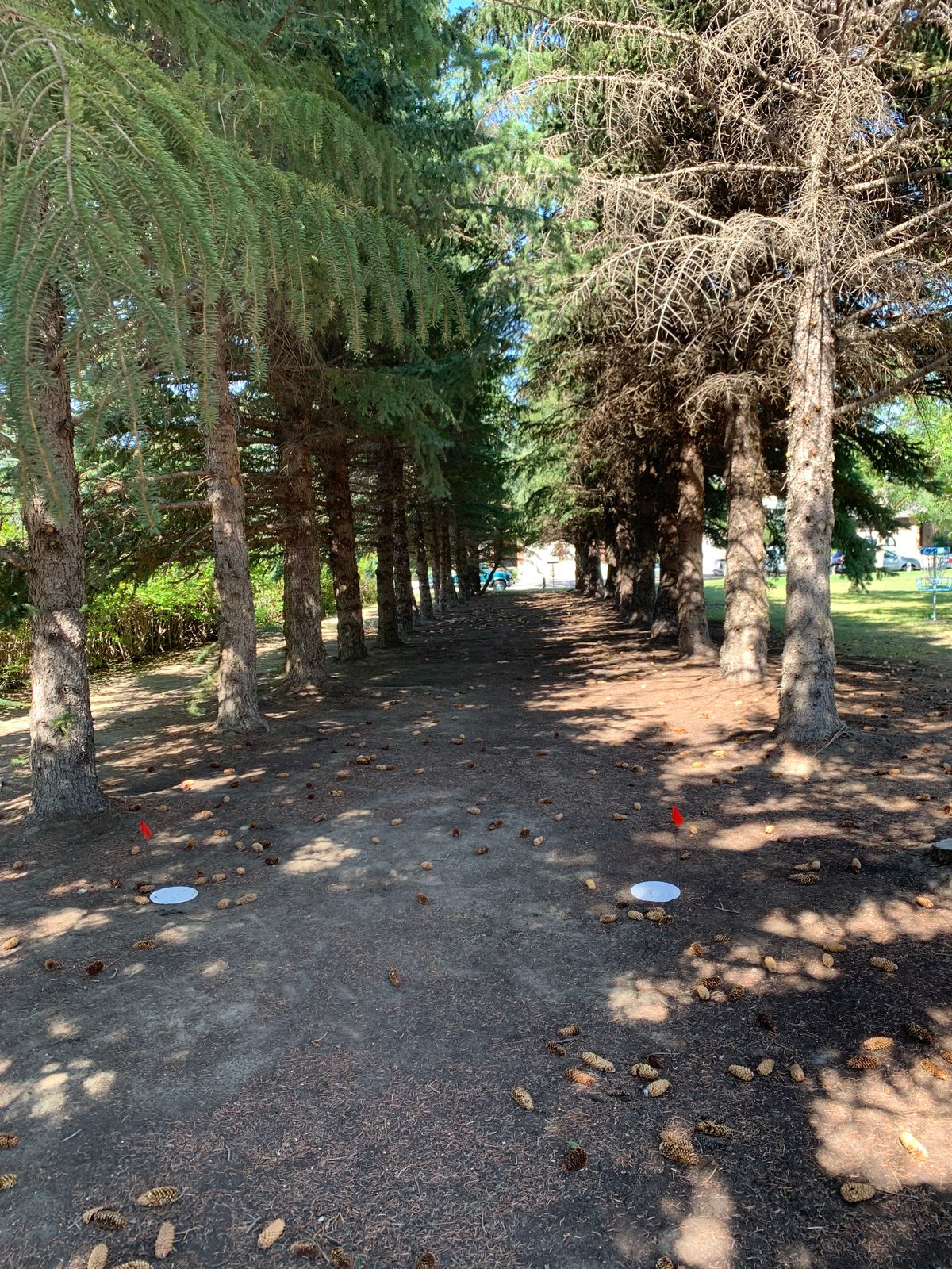 Hole 5