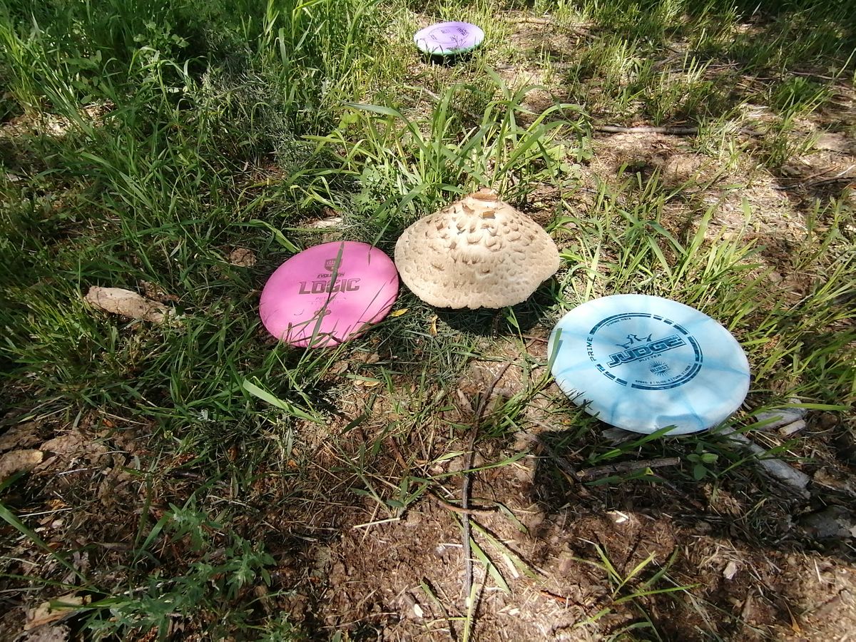 Can these mushrooms cap fly the flex line?