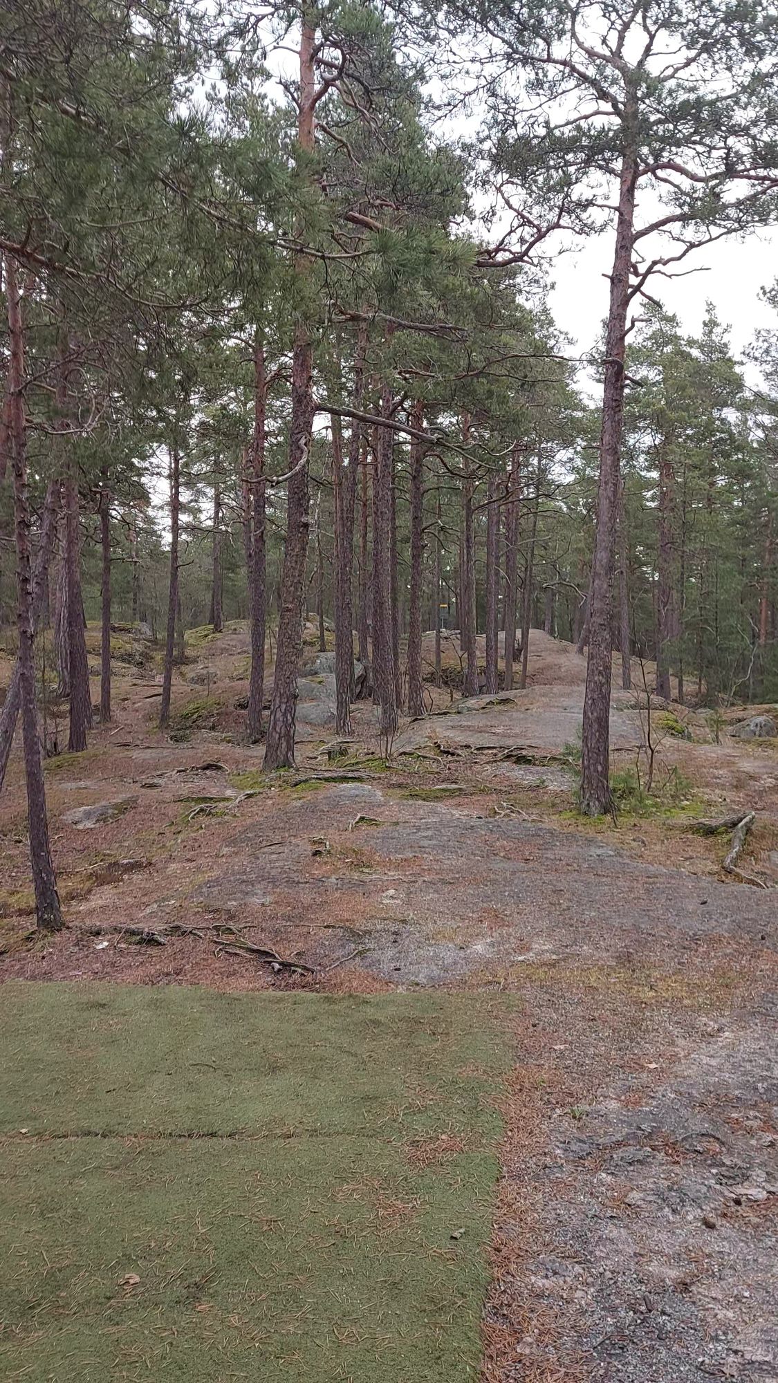 Väylä 6