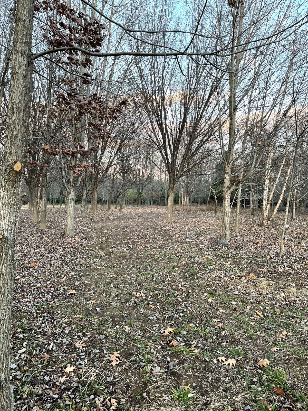 Hole 5