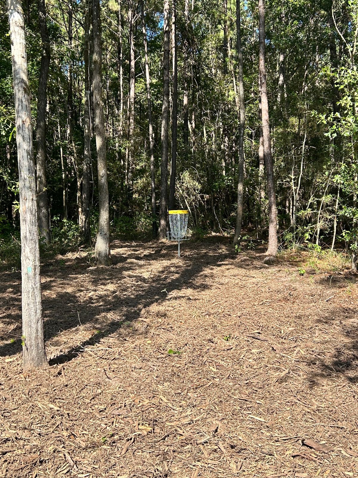 Hole 4 Long green