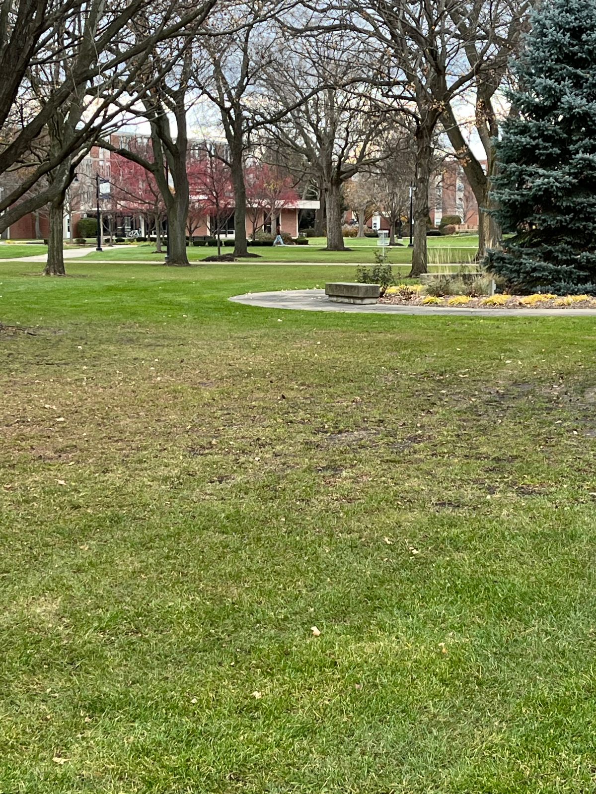 Hole 3