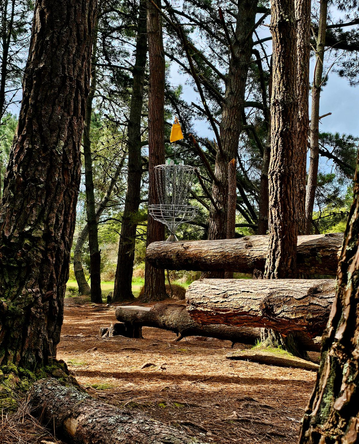 Elevated basket of hole 2.