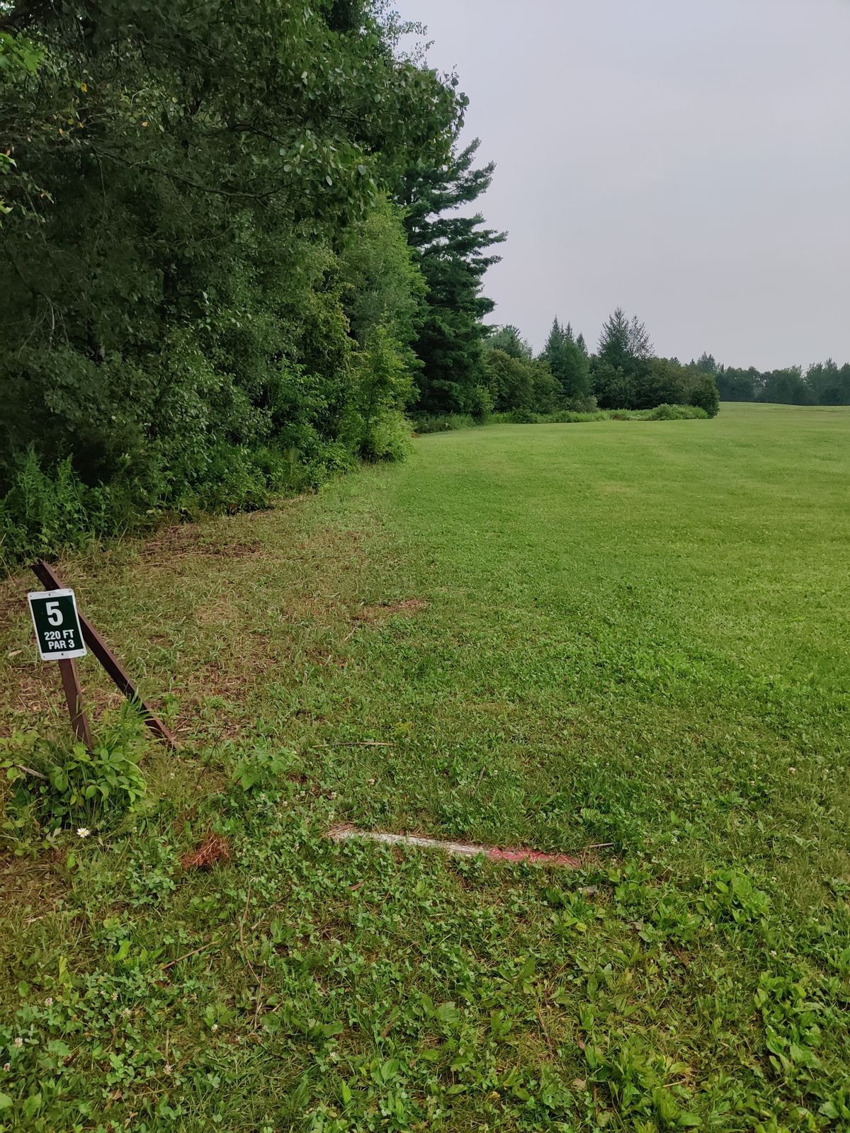 Tee 5