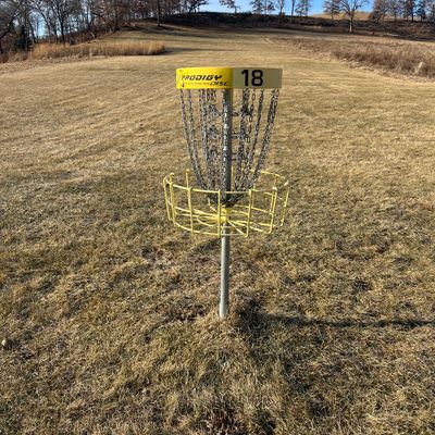 Big Brother Hole 18 Basket 1/9/25