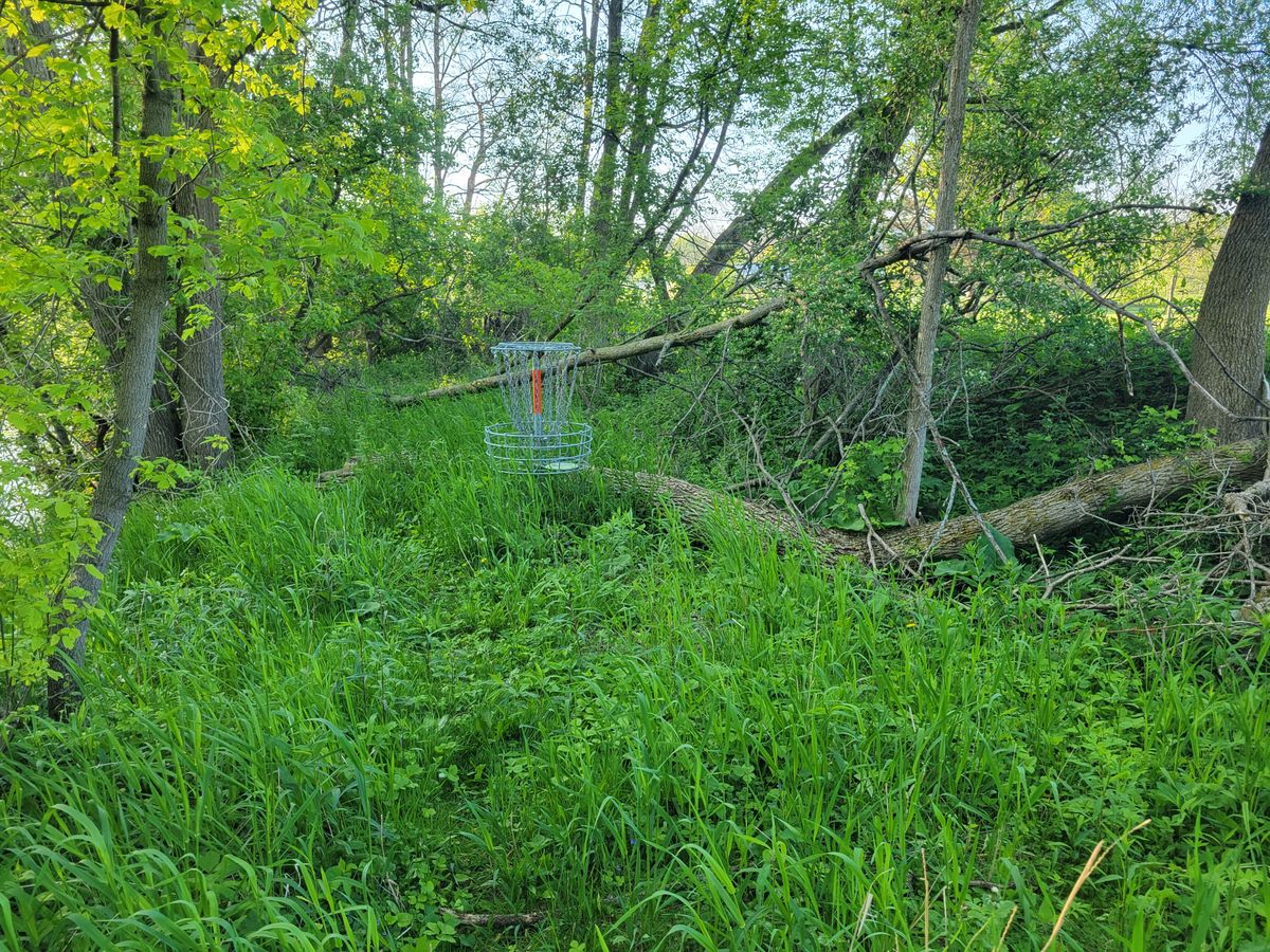 This is a green?