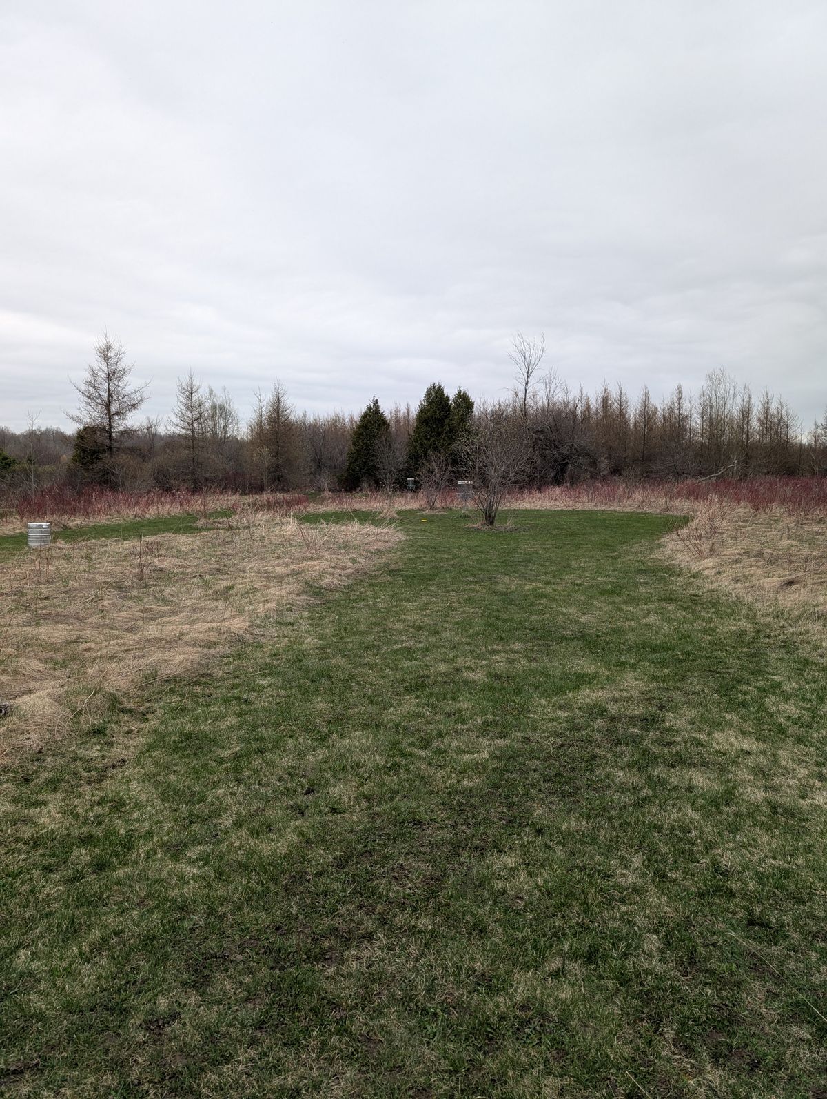 Got my first birdie here.