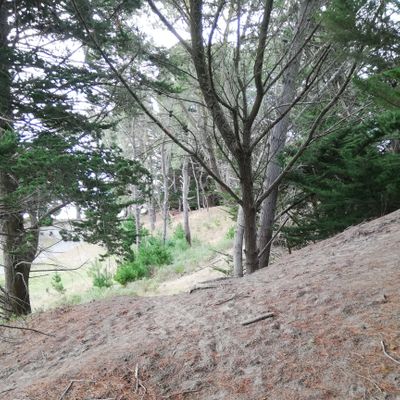 Hole 9