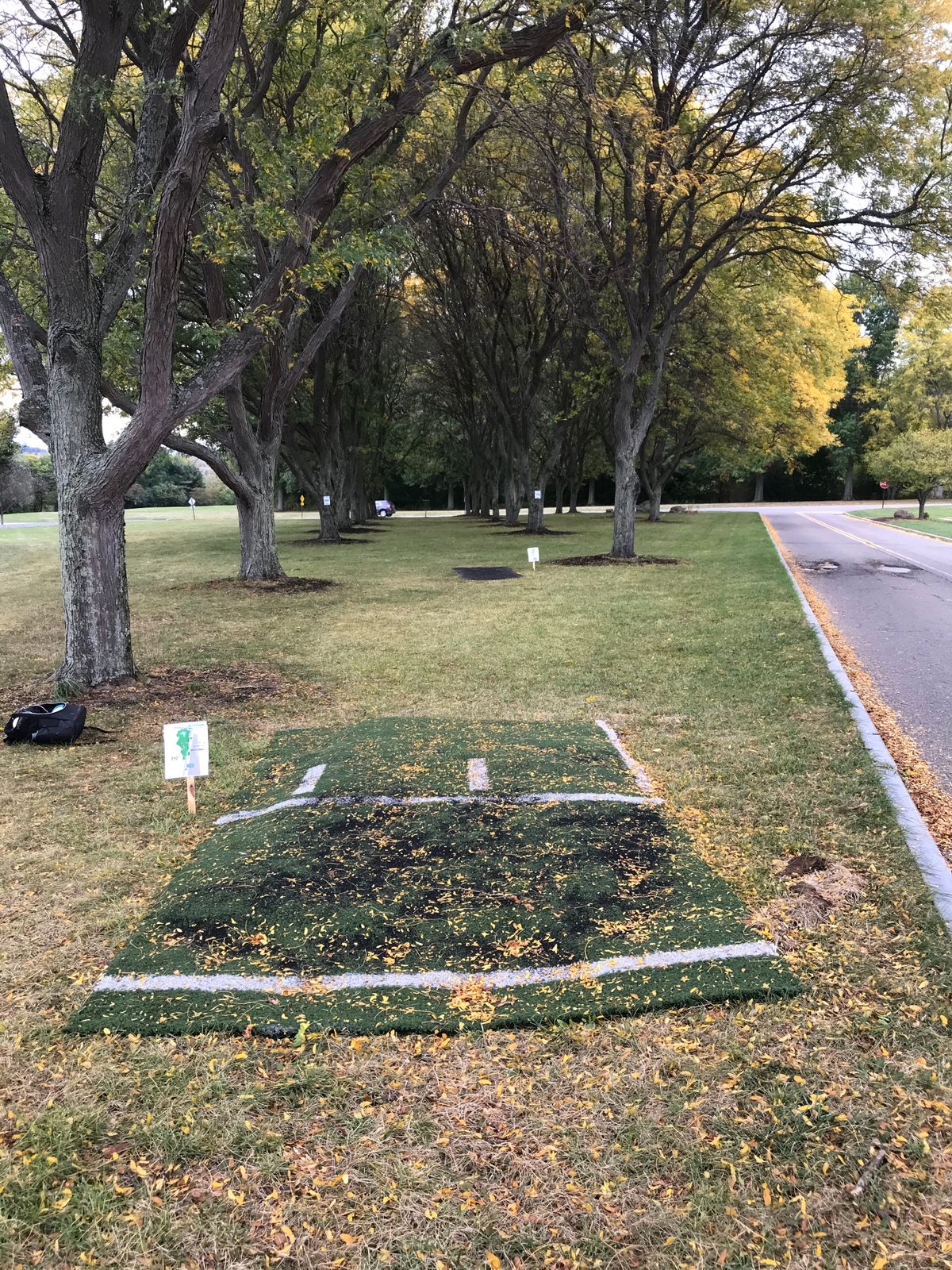 Hole 1 White Layout.