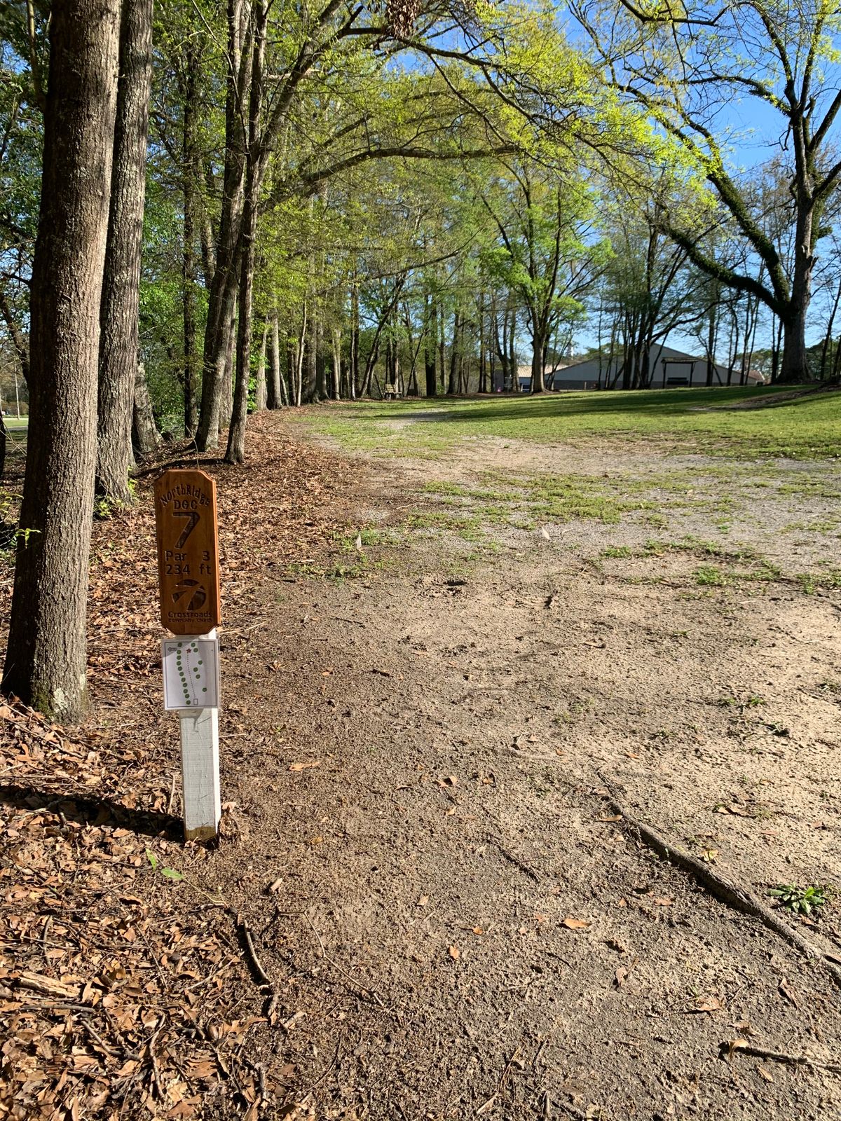 Hole 7 tee