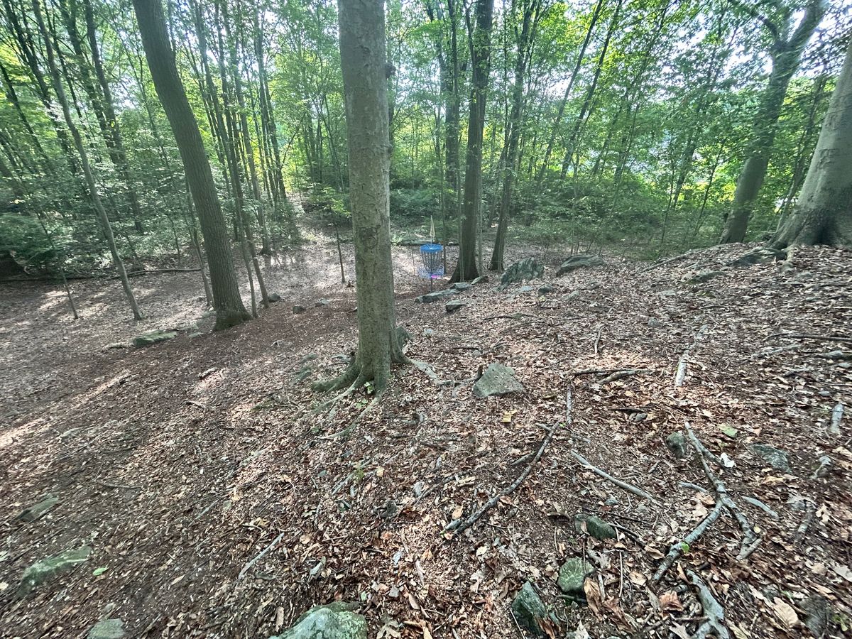 Hole 5's basket