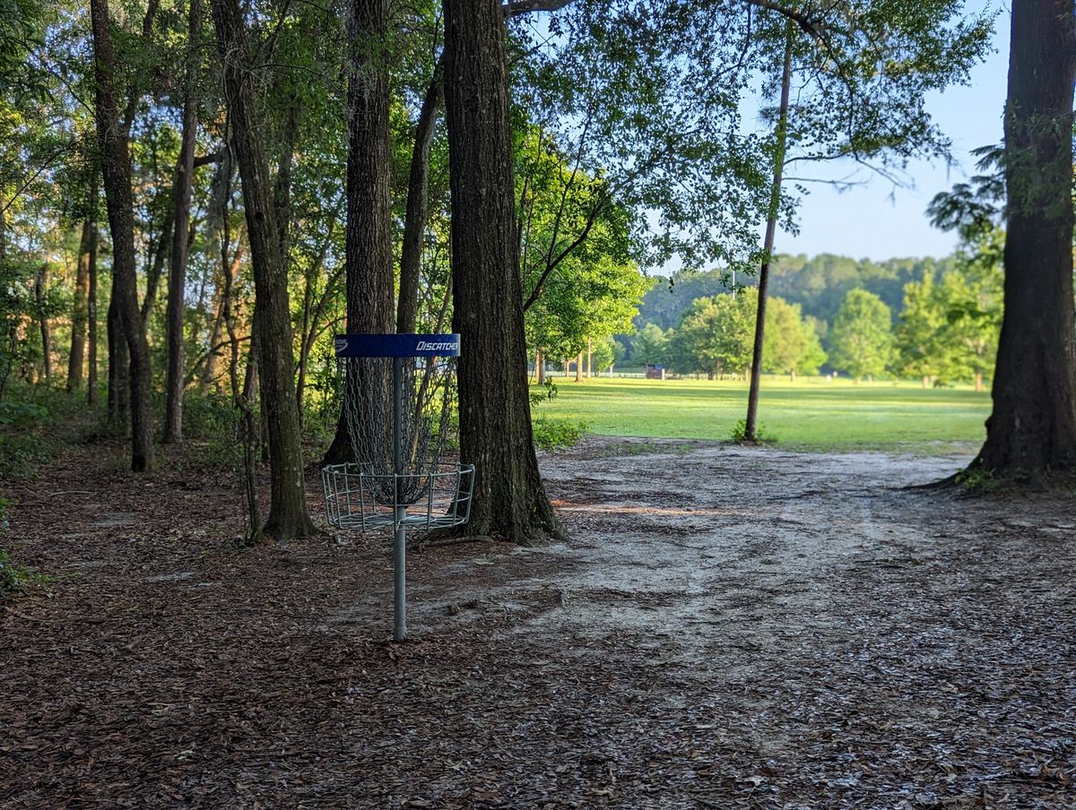 Long basket position, looking back towards #1 tee pad.
