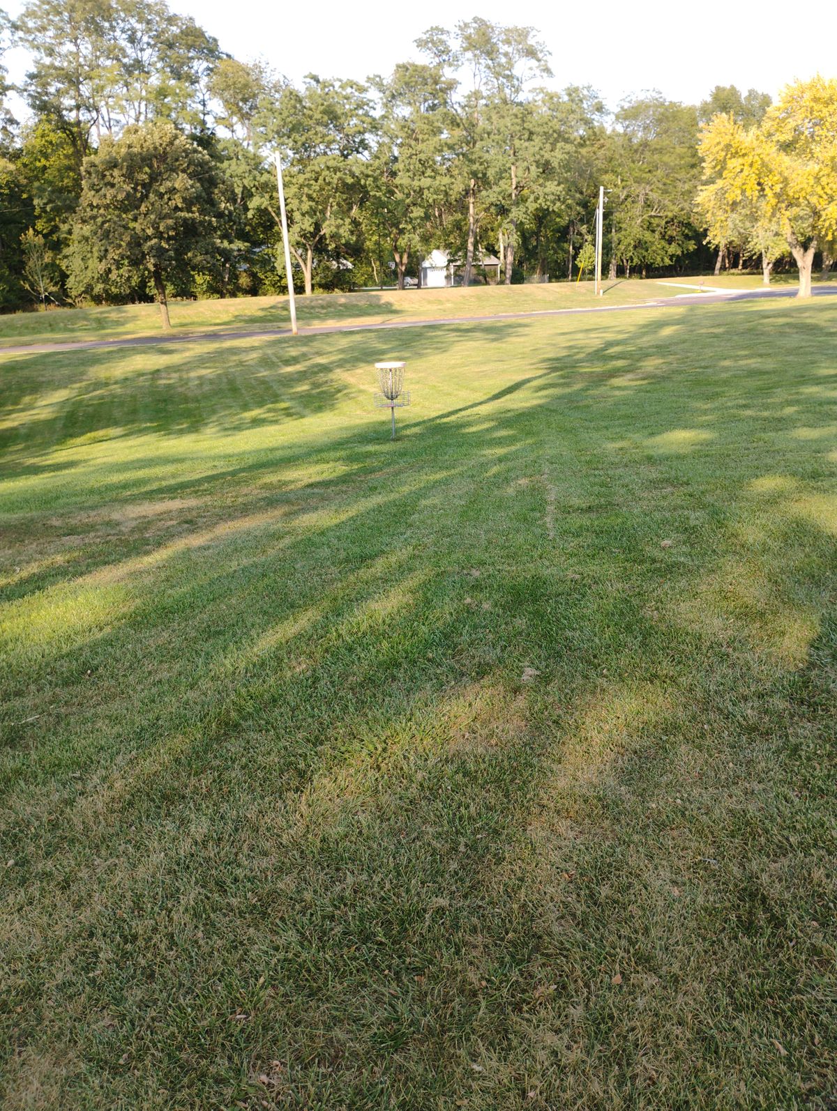 Hole 8 basket