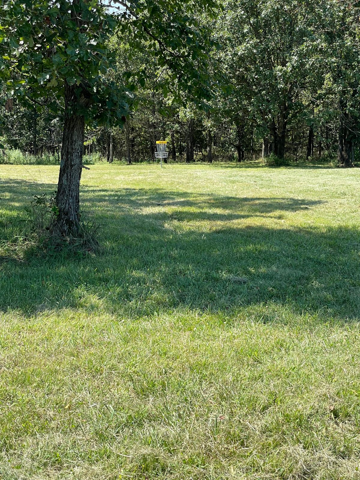 View from corner to basket 1