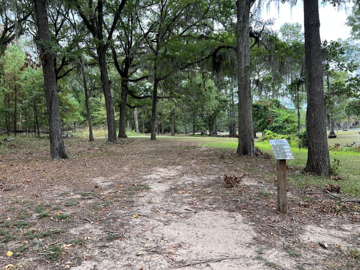 Hole 4 tee