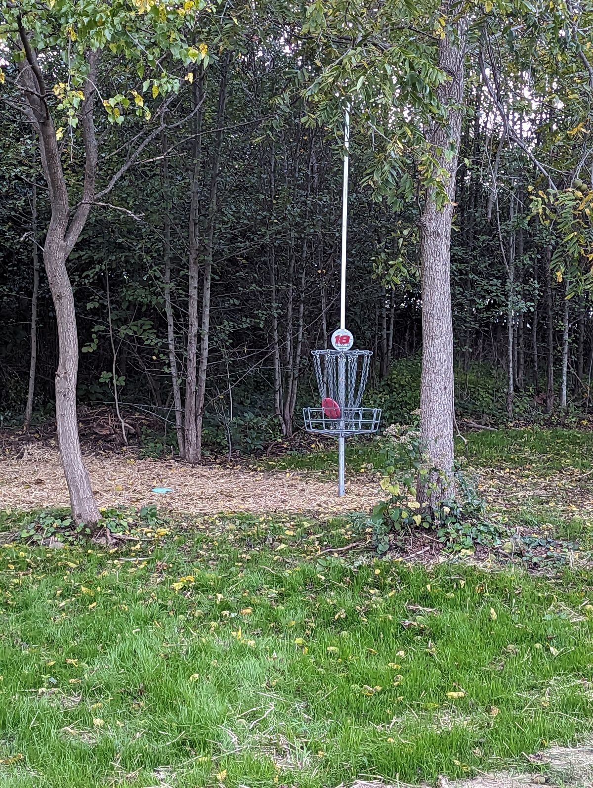 New hole 18: Basket