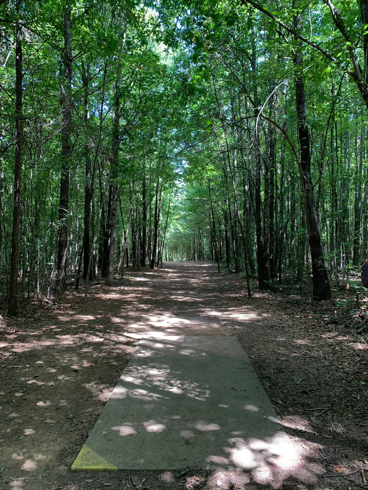 Hole 14 was a humbling one for sure