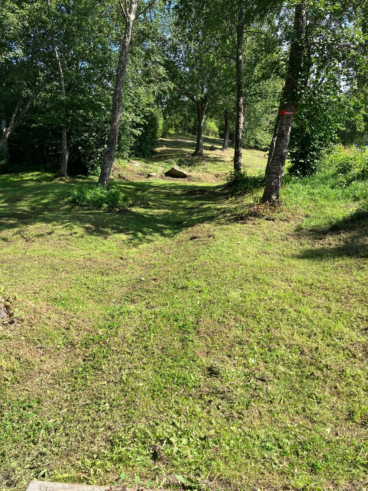 Hål 15, Grön Tee