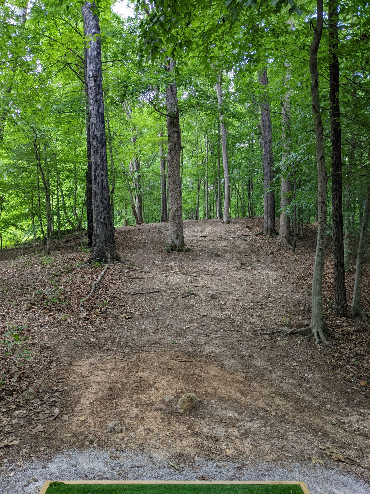 Hole 2A