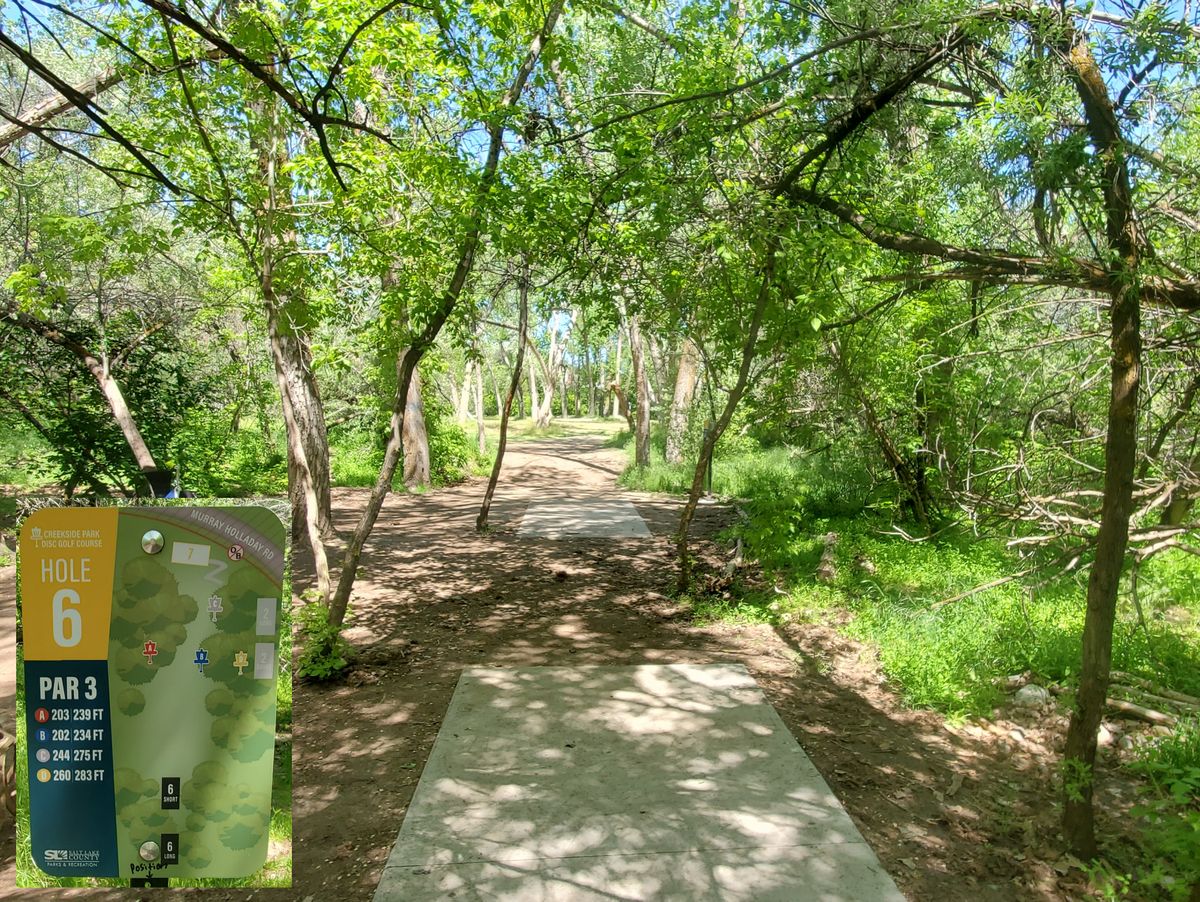 Hole 6