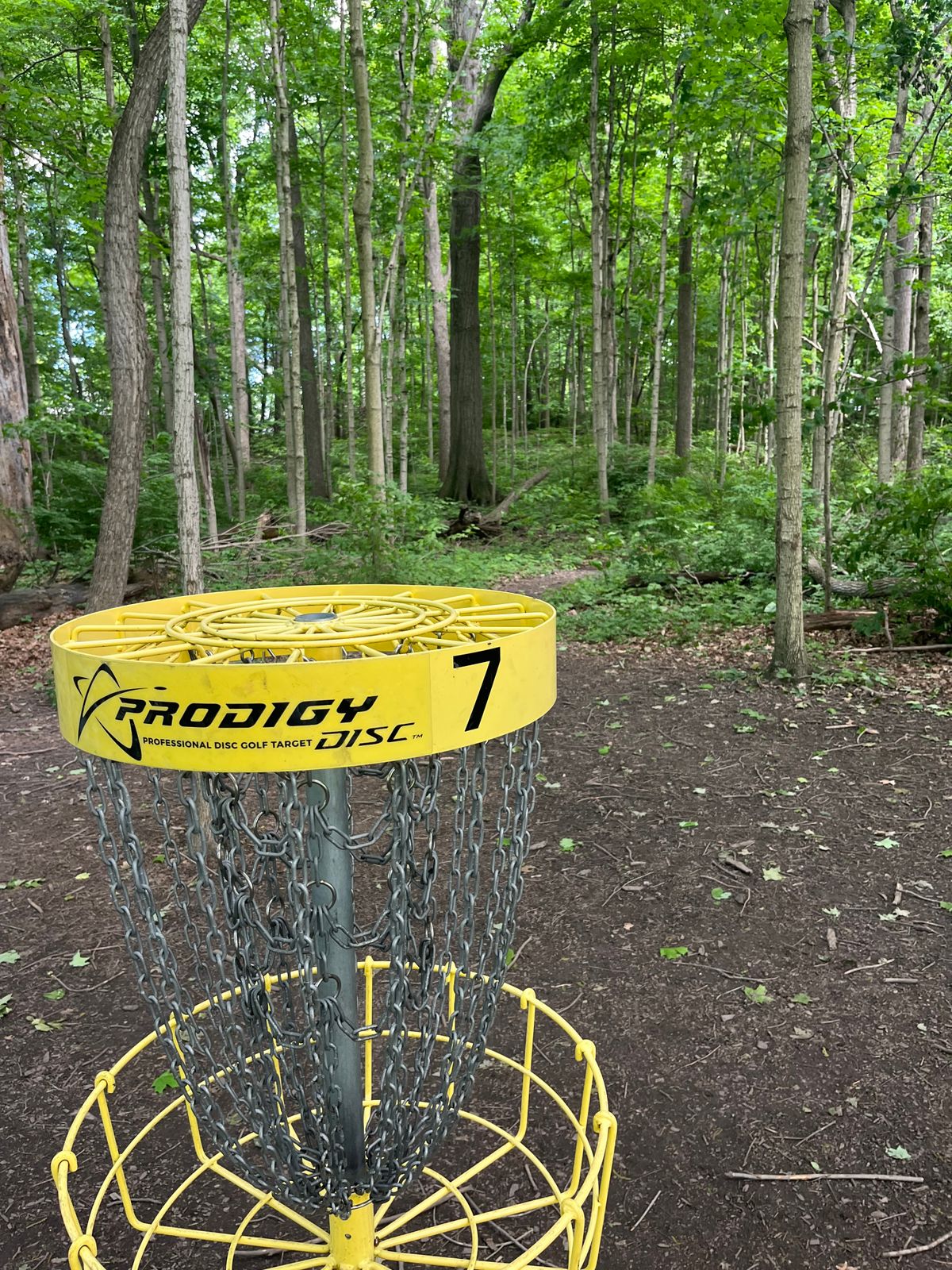 Hole 7 looking into the path for Blue 8