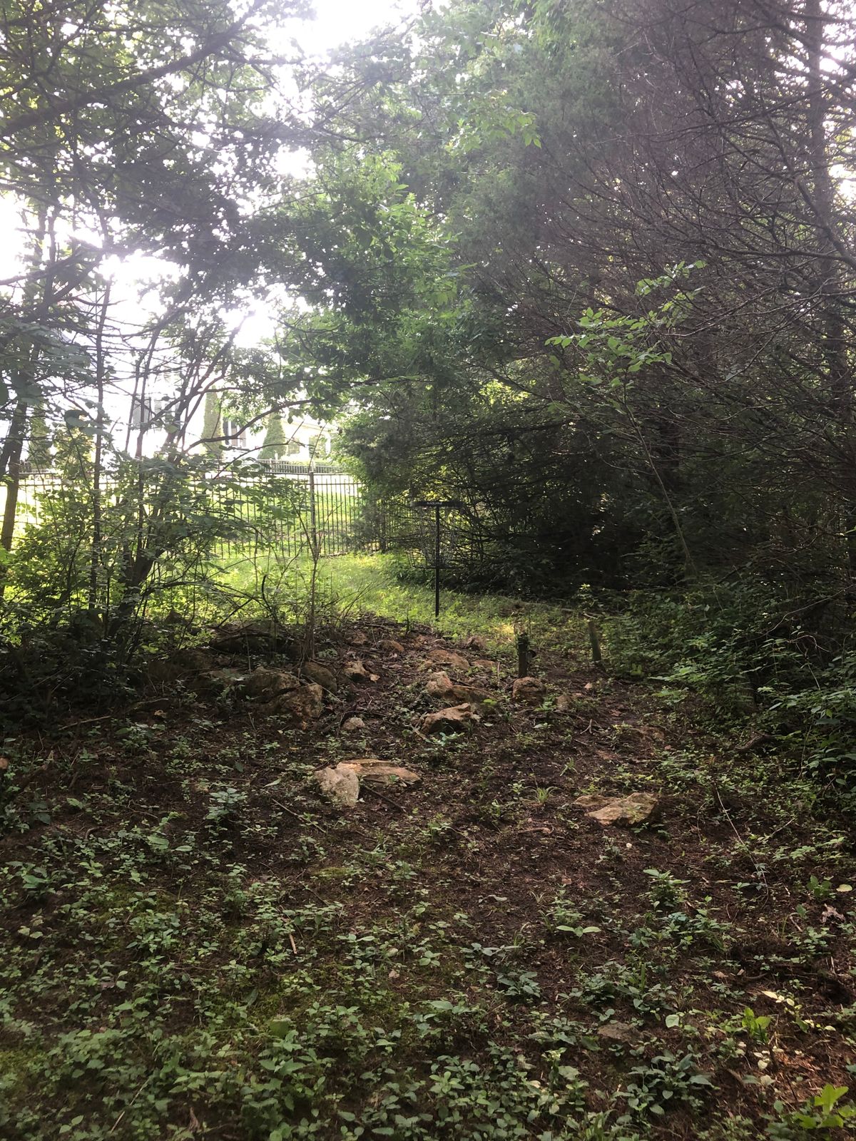 Hole 3 green