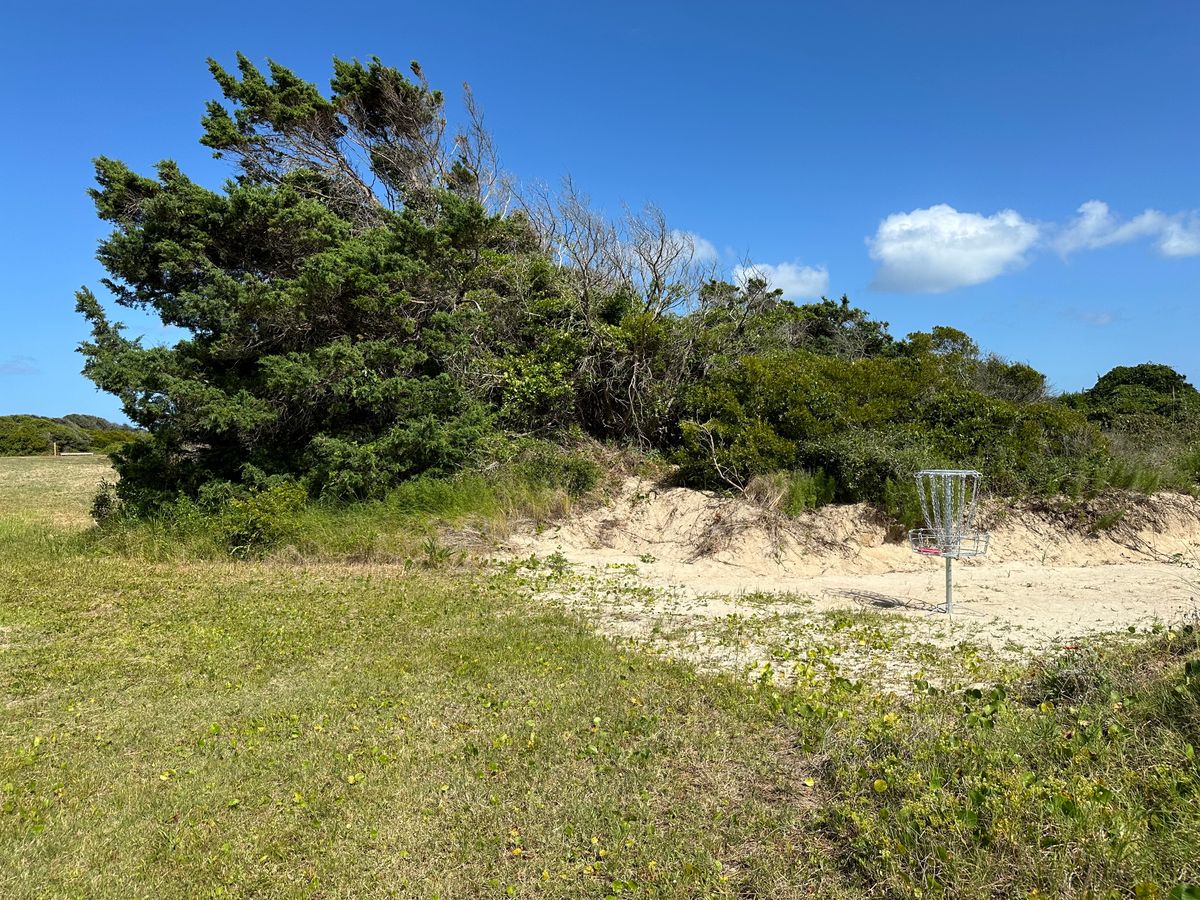 Hole 9 basket.  (Looking back at tee.  Basket is 90 deg left off FW immediately after large tree.)