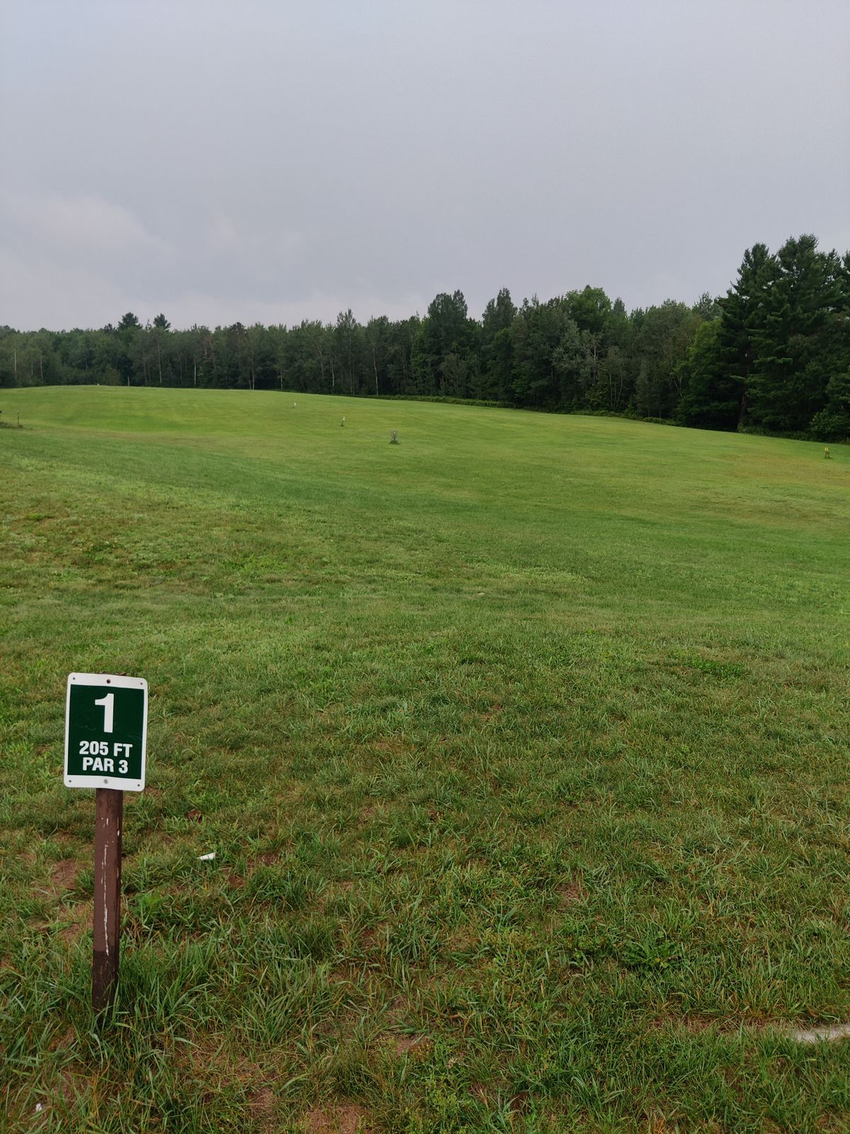 Tee 1