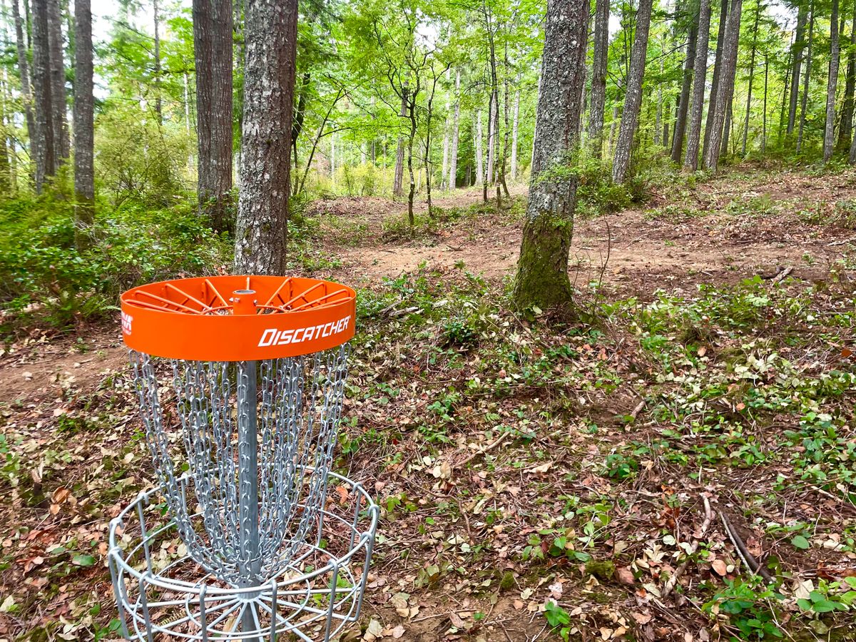 Hole 11 deep basket looking back at fairway