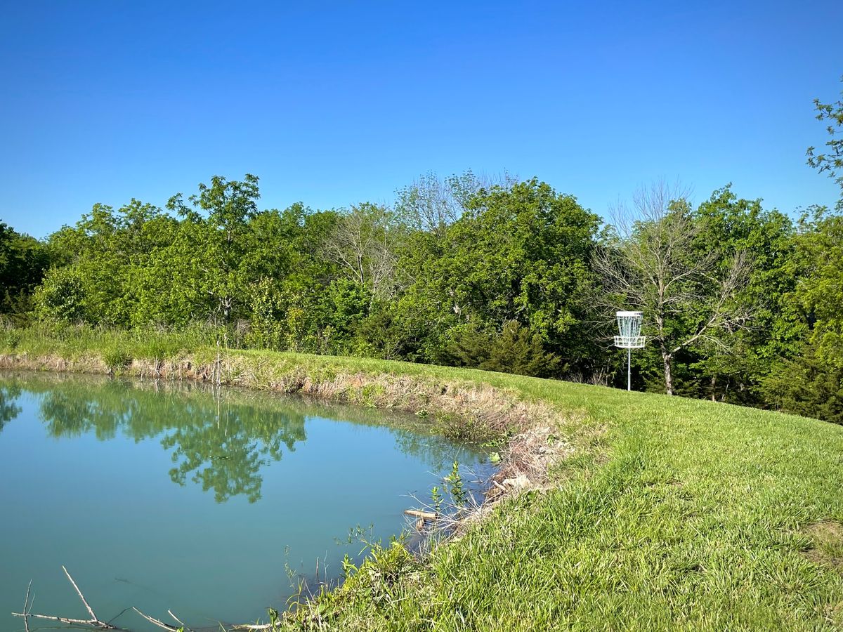 Hole 6 basket sits along the side of the pond dam.