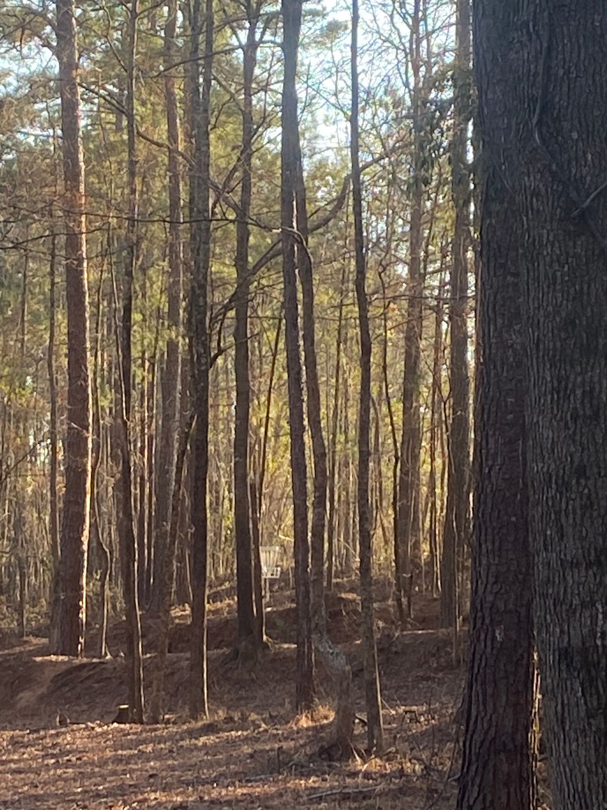 Hole 2