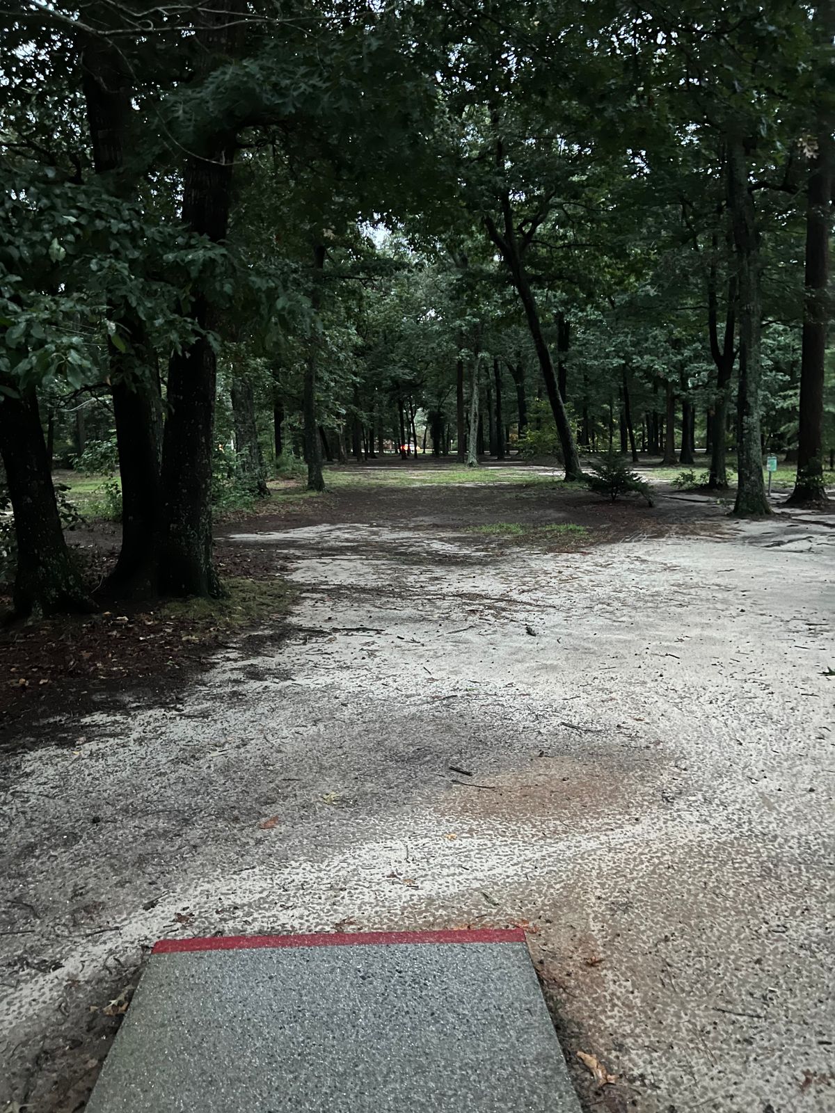 Hole 11