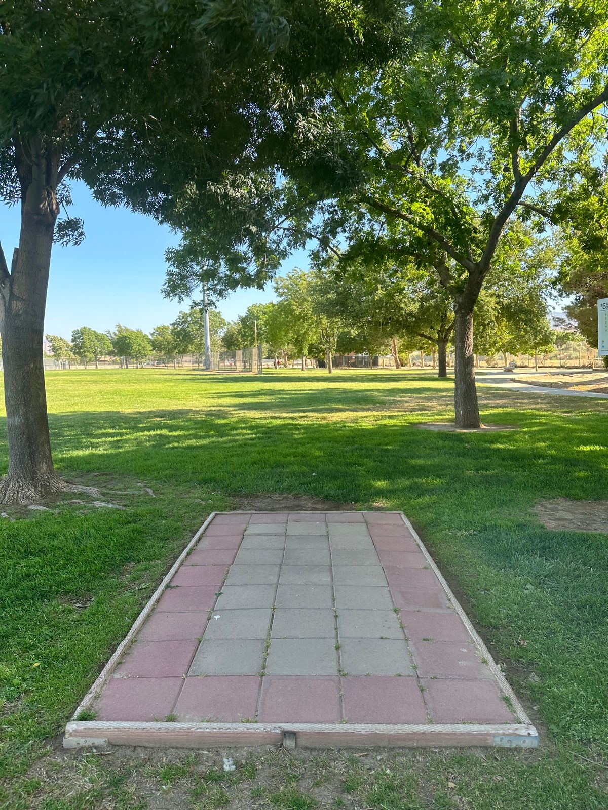 Hole 6 Tee