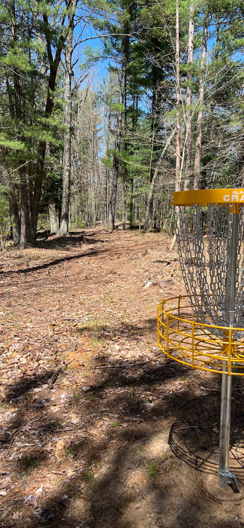 17 behind pin