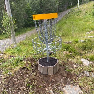 Diskgolfpark kurver
