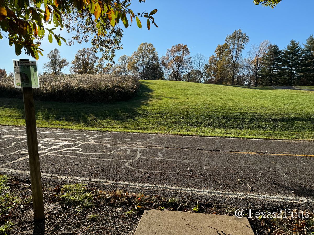 Hole 11