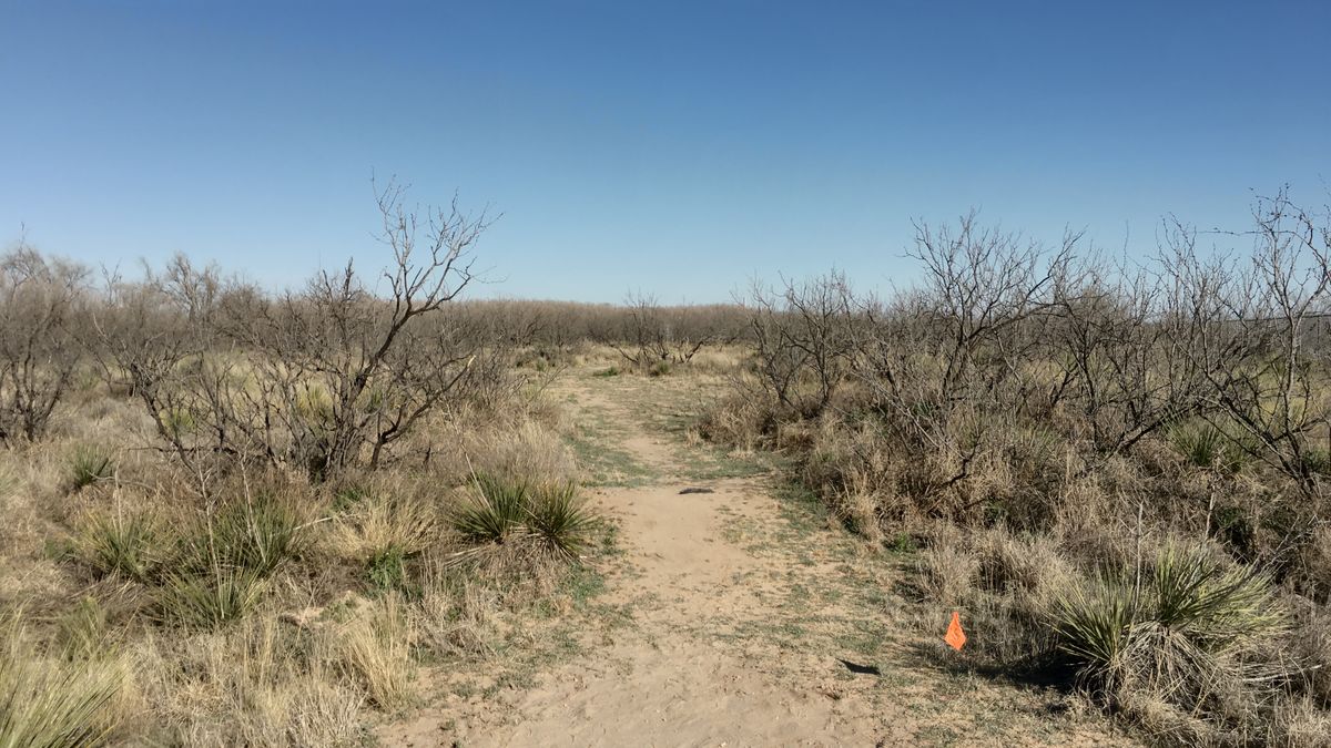 Hole 13